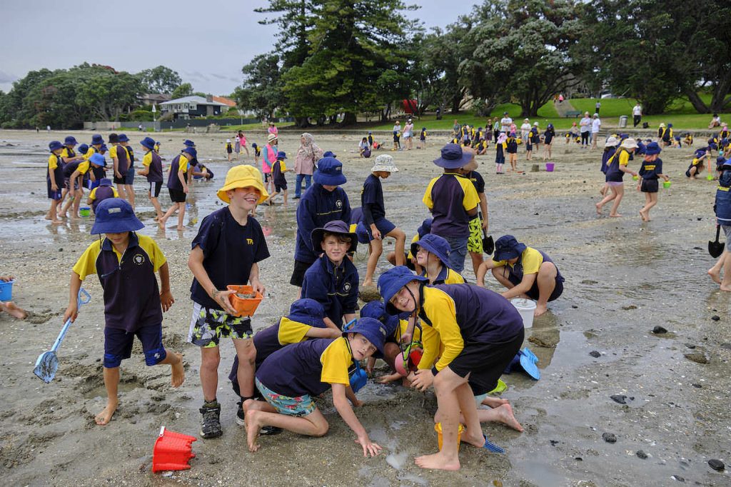 School Life Takapuna Primary School